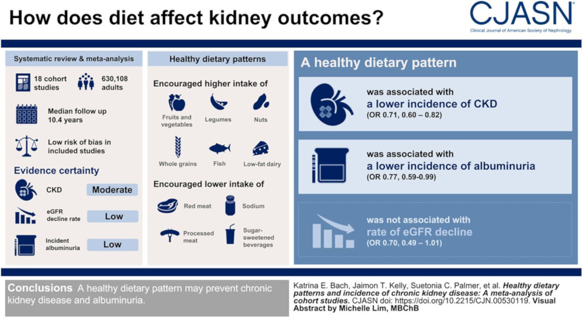 An info graphic table showing how diet can affect kidney health